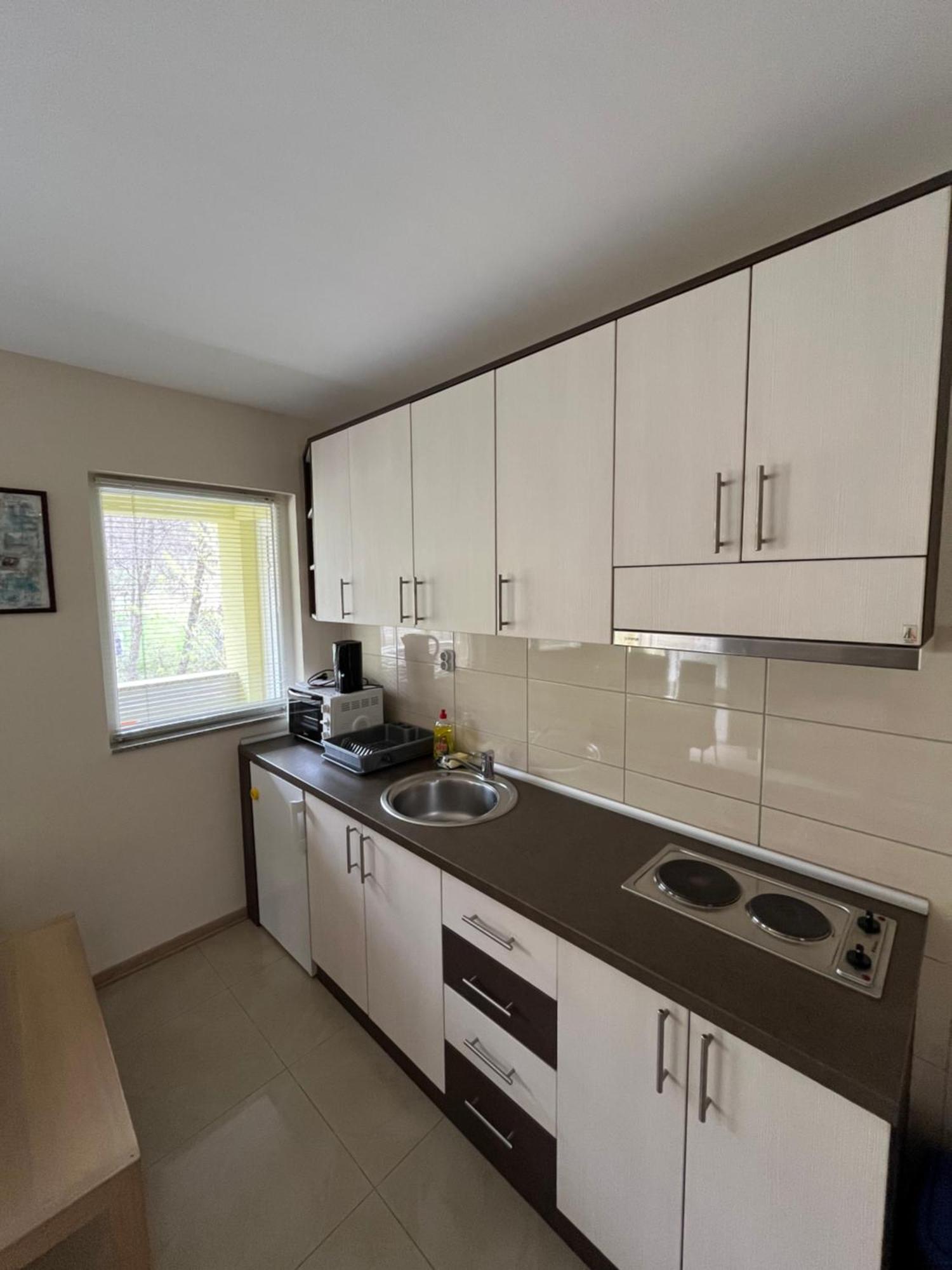 Apartmani Radoicic Josanicka Banja Exterior photo